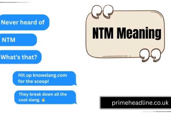 ntm meaning slang