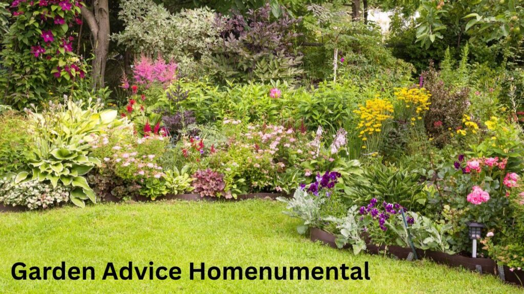 garden advice homenumental