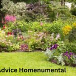 garden advice homenumental